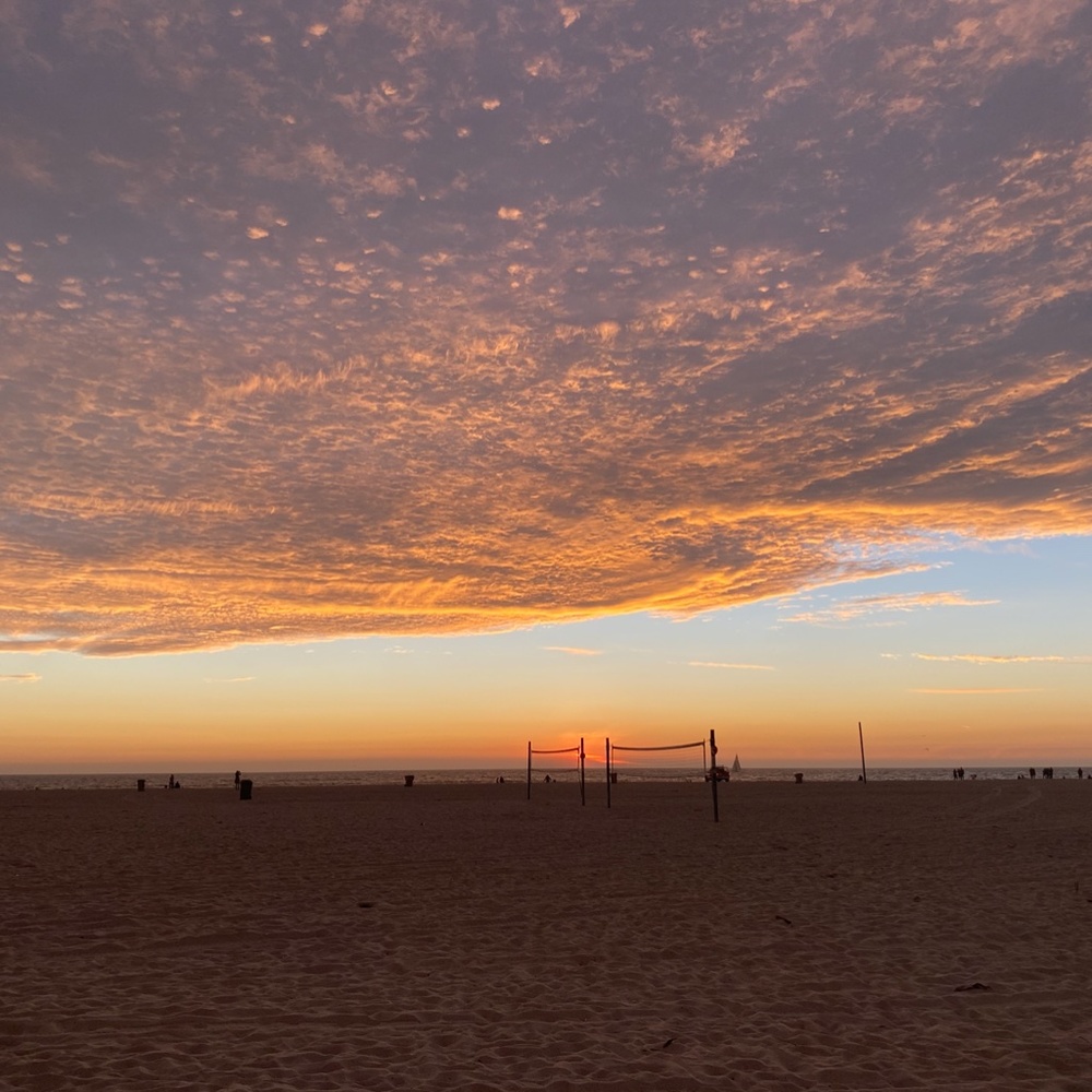 Meet your Posher, Anne